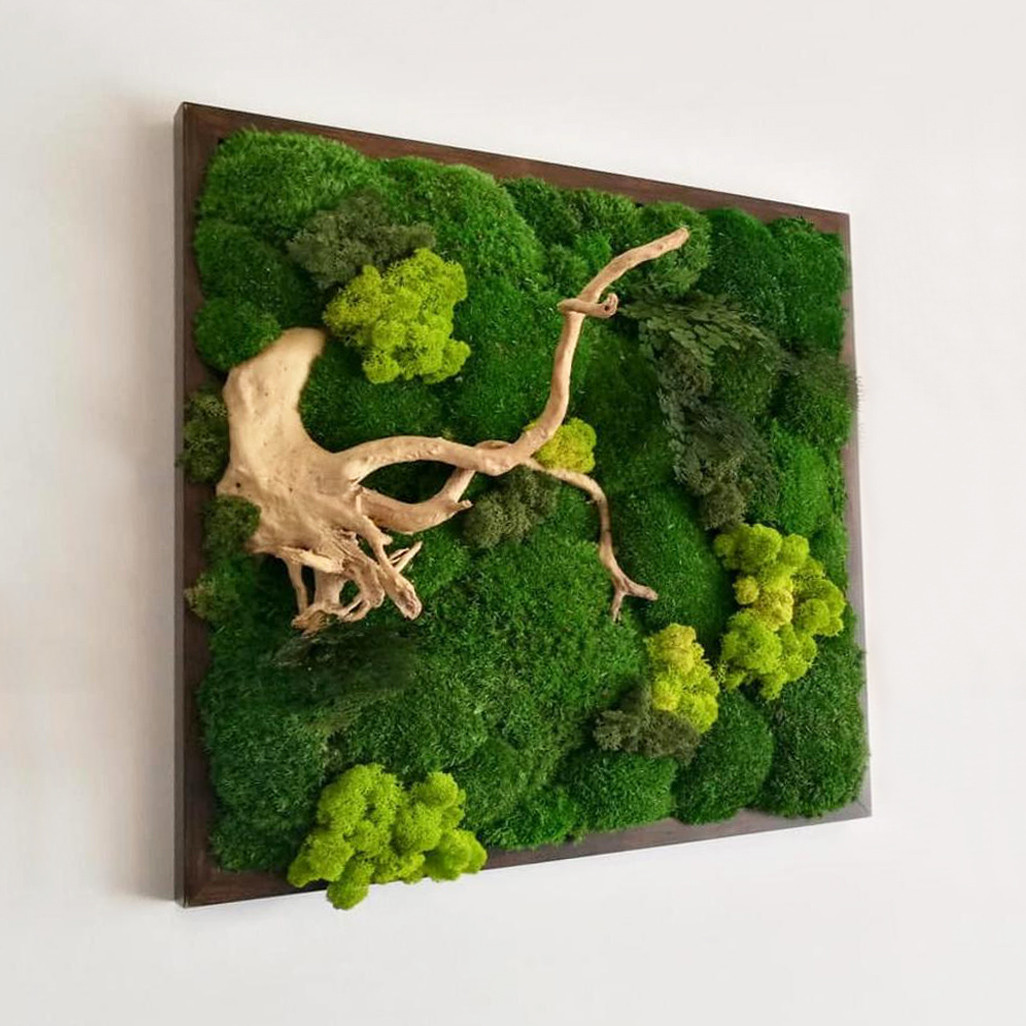 Картина из мха в интерьере 94 фото
