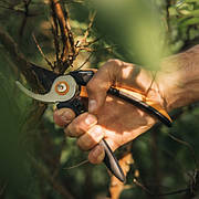 Секатори Fiskars Solid