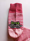 Дитячі демісезонні шкарпетки - Дюна р. 16-18 / 4в456-1574-малиновий, фото 2