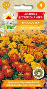 Семена Бархатцы (чорнобривці) Brocade 1г