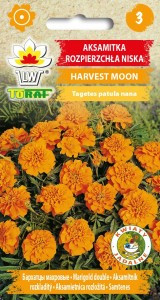 Семена Бархатцы (чорнобривці) Harvest Moon 1г