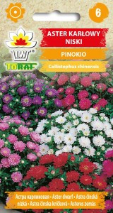 Насіння Астра карликова Pinokio 0.5 г