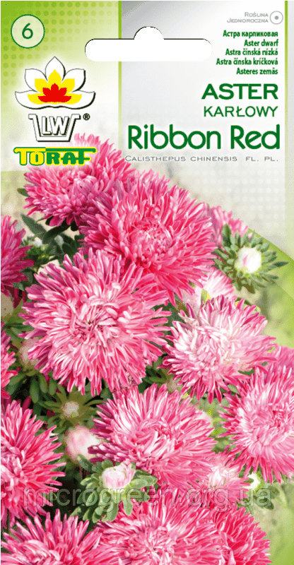 Насіння Астра карликове Ribbon Red 0.5г