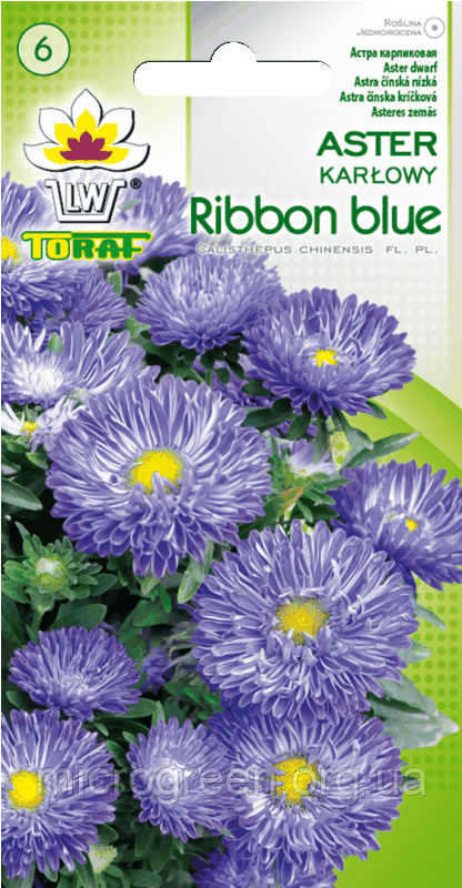 Насіння Астра карликове Ribbon Blue 0.5г
