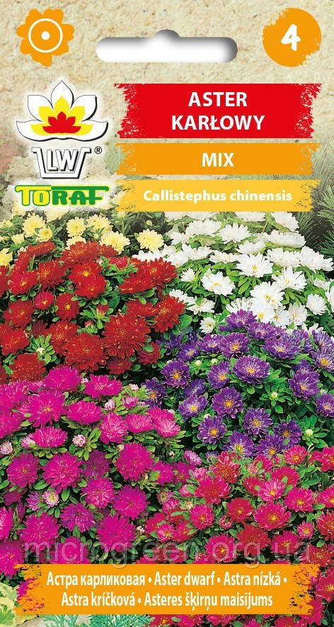 Насіння Астра карликова mix 1г