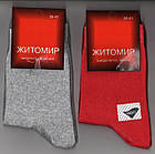 Шкарпетки жіночі демісезонні х/б Житомир LYCRA кольорові НЖД-02199, фото 3