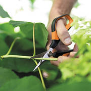 Ножиці Fiskars Solid