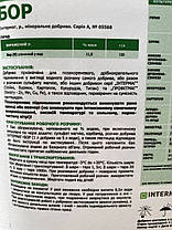 Мікродобриво Інтермаг БОР (Intermag) 1л, фото 6