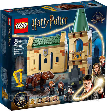 Lego Harry Potter Хогвортс: пухнаста зустріч 76387