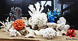 Композиція К60 для акваріума з коралами (від 180л), фото 3