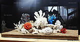 Композиція К60 для акваріума з коралами (від 180л), фото 4