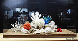 Композиція К60 для акваріума з коралами (від 180л), фото 6