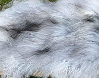 Волосы исландской овцы на шкурке. Ед. измерения 5*10 см. Длина волос 14-20 см.