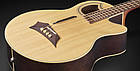 Акустична бас-гітара WARWICK RockBass Alien Deluxe 4-String (Natural Transparent Satin), фото 5