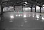 Просочення для знепиливання та зміцнення бетонної підлоги, 1 л, фото 3