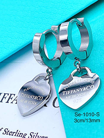 Сережки Stainlees Steel, фото 1