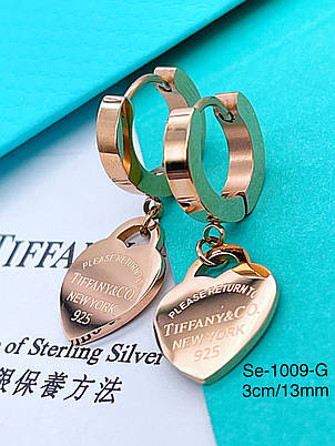 Сережки Stainlees Steel, фото 1