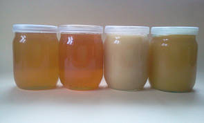 Мед Мед Honey Med Mõdu