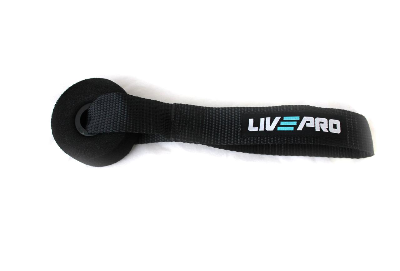 Фіксатор для еспандера LivePro DOOR ANCHOR, фото 1