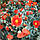 Саджанці Сонцецвіта або Геліантемума (Helianthemum), фото 4