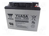 Тяговый свинцово-кислотный аккумулятор YUASA REC50-12I AGM (12В/50 Ah)