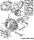 Ремінь генератора 6PK915 Fiat Ducato 230, Peugeot Boxer, Citroen Jumper (94-02) 2.8D, 500345344, 128066, фото 4
