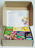 Набір школяра універсальний "Школа" для дівчинки, 30+ предметів (в коробці), фото 2