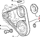 Ремінь генератора на Fiat Ducato 230 (1994-2002) 2.5, 71749449, 71739926, фото 4