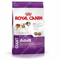 Royal Canin (Роял Канин) Giant Adult для взрослых собак крупных пород 20кг