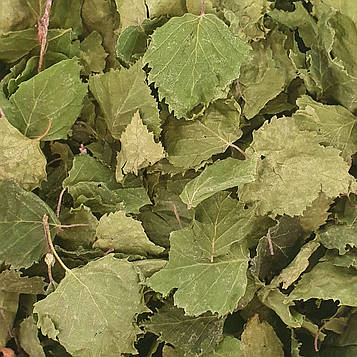 100 г береза лист сушений (Свіжий урожай) лат. Bétul