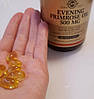 Олія примули вечірньої Solgar Evening Primrose Oil 500 mg 180 капс, фото 8