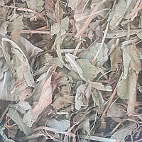 100 г бобівник/трилисник водяний/вахта трилиста листя сушене (Свіжий урожай) лат. Menyantnes trifoliata