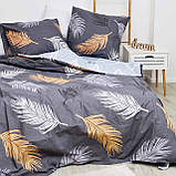 Сімейний комплект постільної білизни Вилюта 21144 ранфорс, фото 3