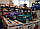 Машина толокар музичний Masterplay MB 2-002 синій, фото 5