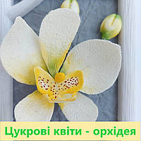 Сахарные цветы из мастики: Орхидея. Композиция: 1 цветок, 2 бутона. Украшение для свадебного торта