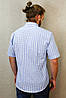 Чоловіча сорочка з коротким рукавом білого кольору в блакитну клітку, фото 2