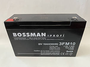 Акумулятор для дитячих електромобілів Bossman-Profi 3FM10, фото 1