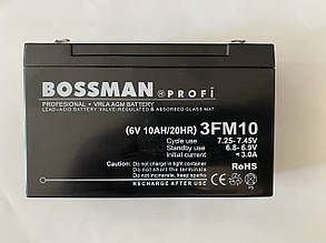 Акумулятор для дитячих електромобілів Bossman-Profi 3FM10, фото 3