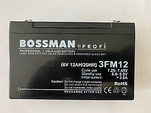Акумулятор для дитячих електромобілів Bossman-Profi 3FM12, фото 1