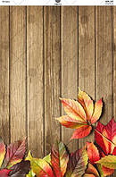 Фотофон (формат А2)