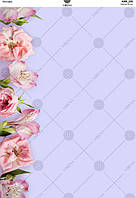 Фотофон для предметного знімання, розмір 40*27 см