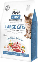 Корм Brit Care Large cats Power & Vitality (Бріт Кеа для котів великих порід) 400г