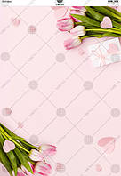 Фотофон для предметного знімання, розмір 40*27 см