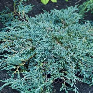 Опис товару 