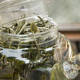 Чай білий елітний Золоті Голки розсипний китайський чай 100 г, фото 6