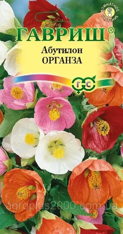Насіння Абутилон (кімнатний клен) Органза Суміш 10 насінин Гавріш
