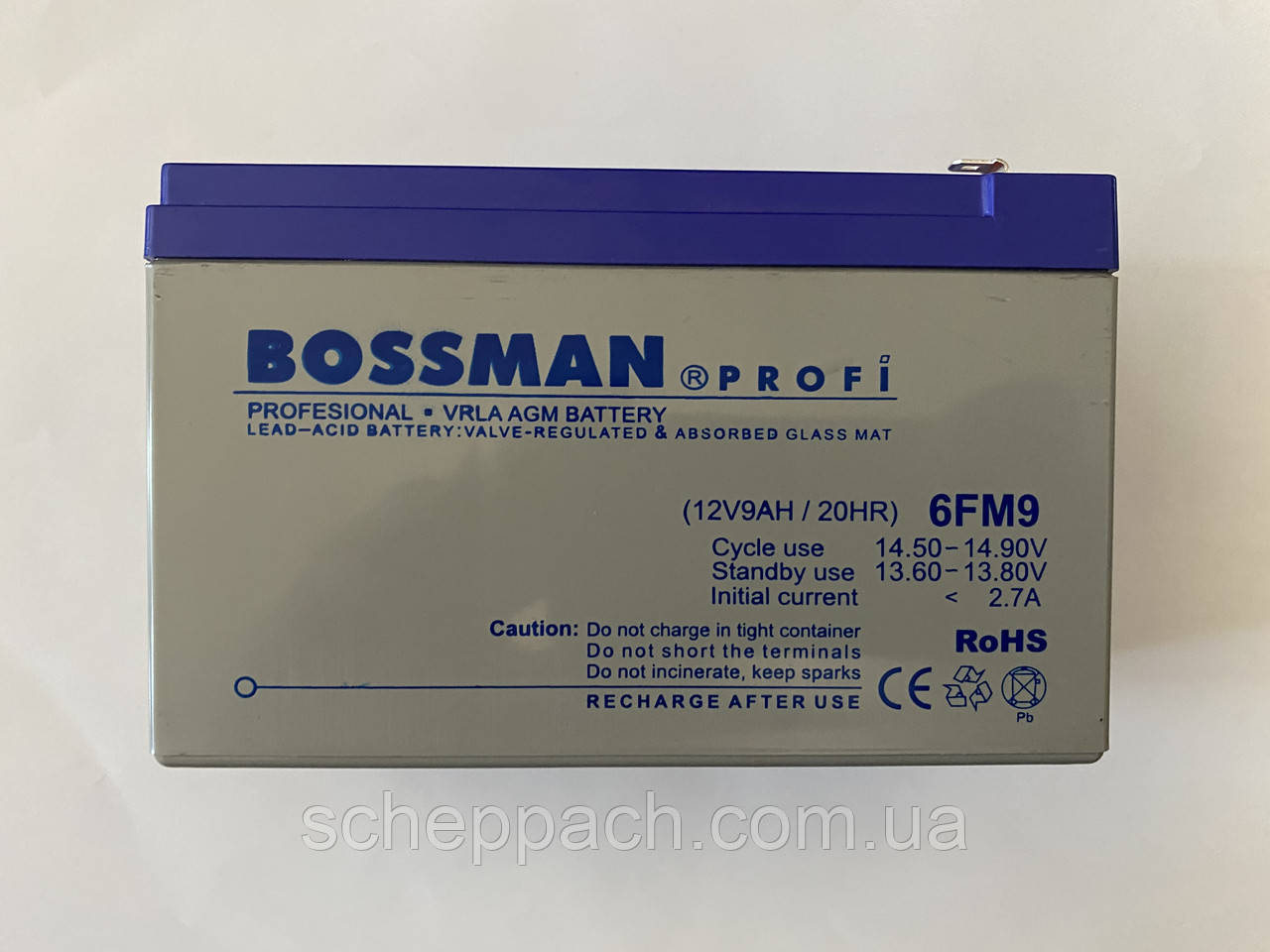 Акумулятор для дитячих електромобілів Bossman-Profi 6FM9