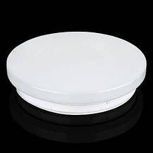 LED світильник BIOM 24W стельовий накладний 5000К(DEL-R102-24-4-DIY) без Д/У ЗМІННИЙ ДЕКОР, фото 3
