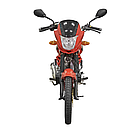 Мотоцикл Spark SP200R-25B Красный, фото 9