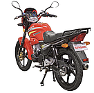 Мотоцикл Spark SP200R-25B Красный, фото 6